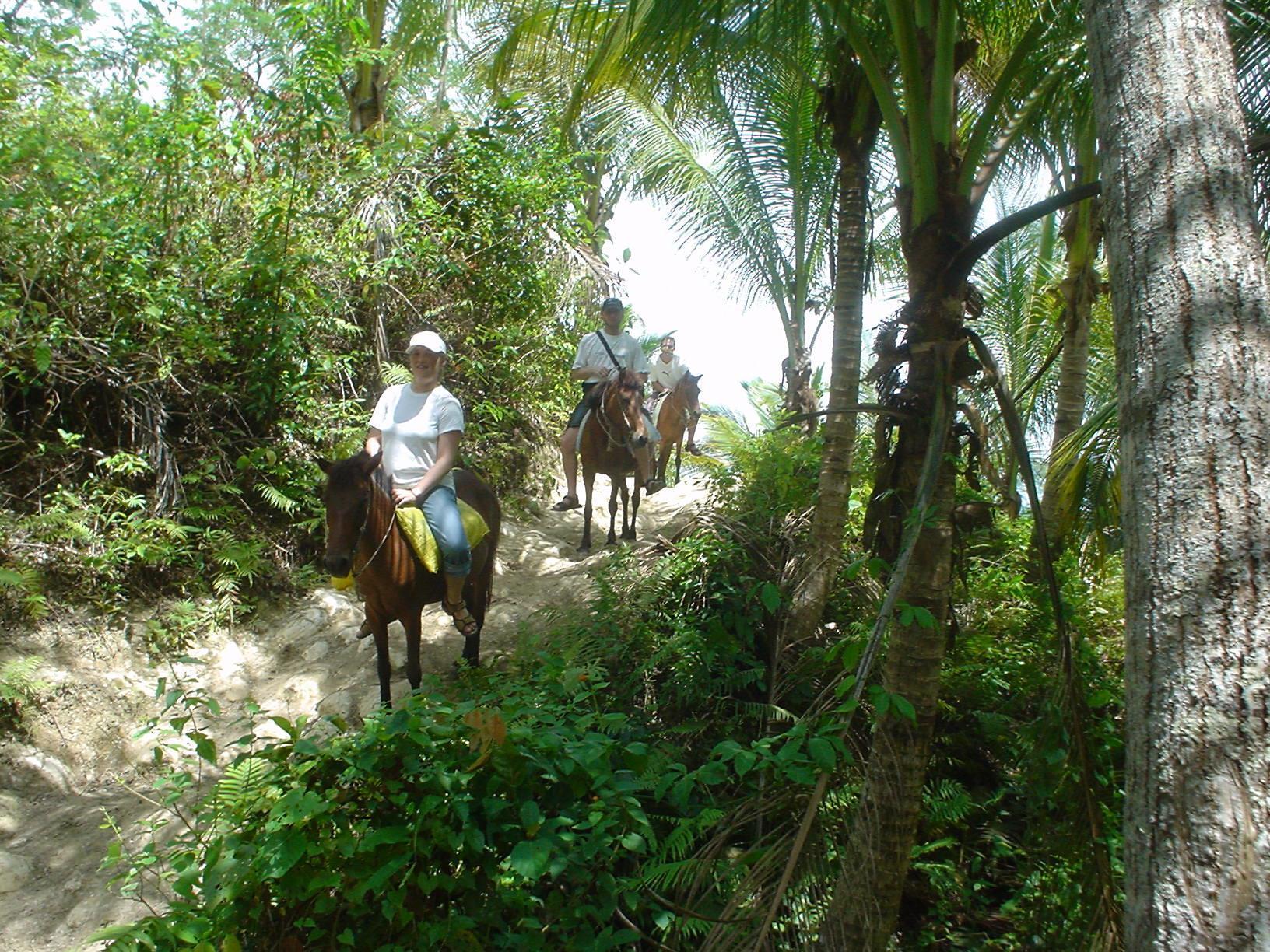 Tipolo Beach Resort Moalboal Ngoại thất bức ảnh